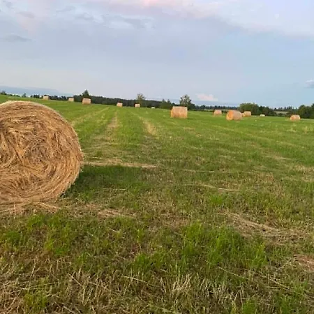 Noce I Dnie - Nad Jeziorem Salet Mazury * Popowo Saleckie